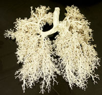 Lung Cancer Natural and Alternative Treatments